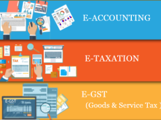accounting-course-after-12th-or-graduation-in-delhi-online-gst-and-custom-certification-in-delhi-100-job-guarantee-course-by-sla-consultants